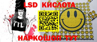 гидра Будённовск