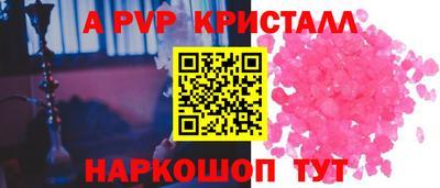 гидра Будённовск