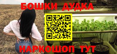 гидра Будённовск