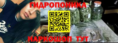 гидра Будённовск
