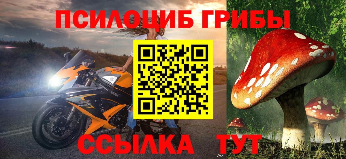 Псилоцибиновые грибы Magic Shrooms Торжок